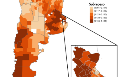 La UBA y el CONICET crearon un mapa para visualizar la doble carga de malnutrición